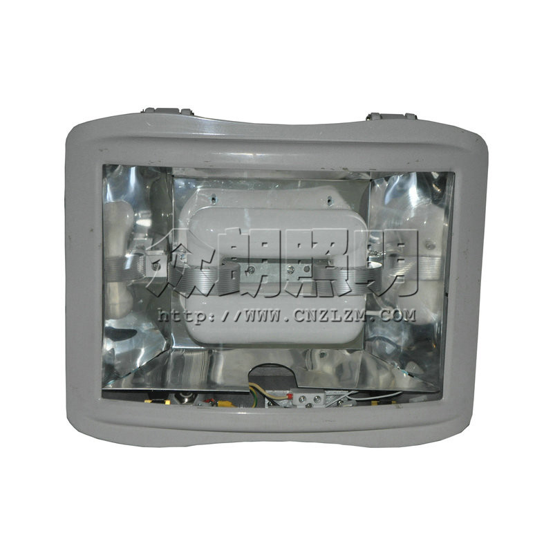 SW7221無(wú)極泛光燈